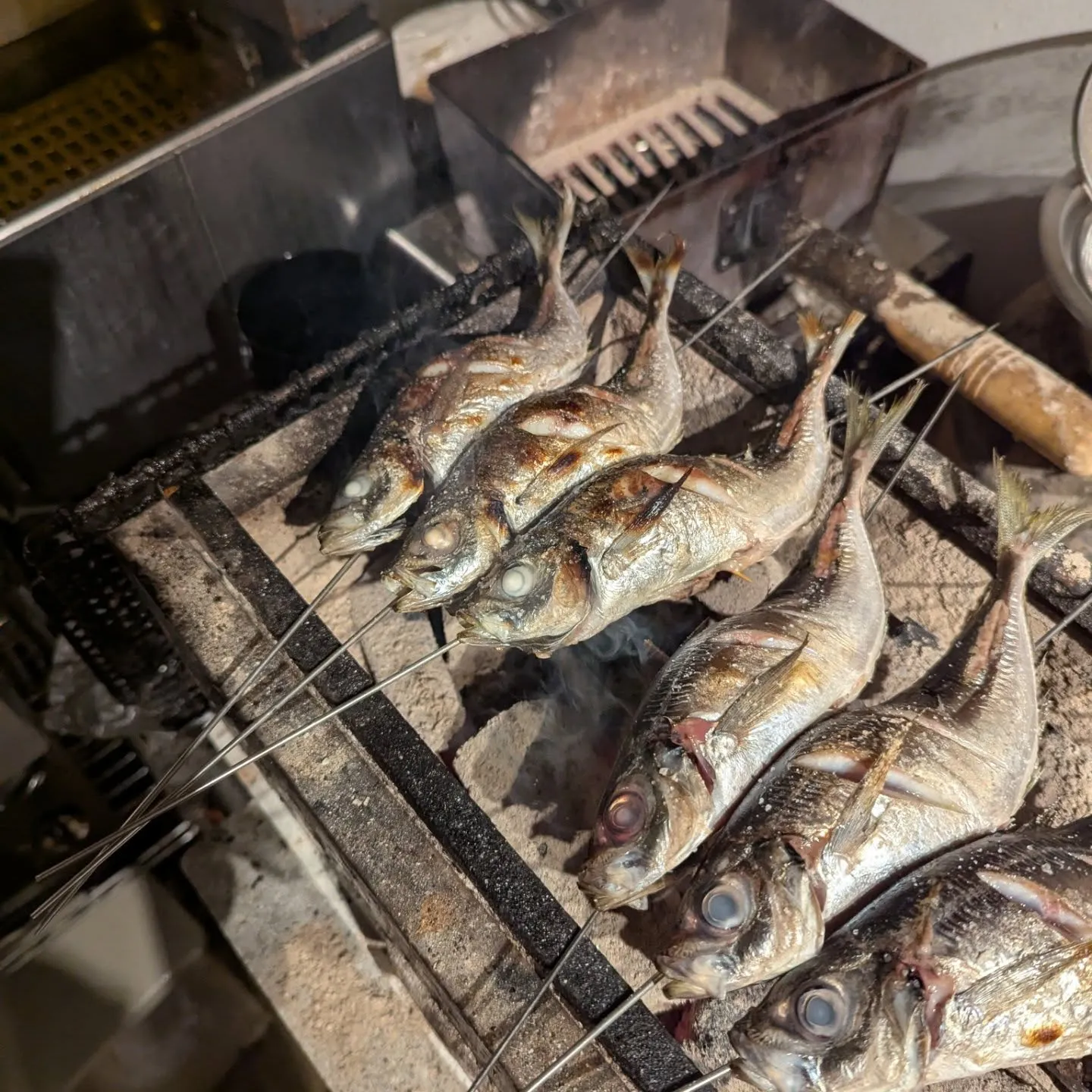 美味しい炭火で焼いたお魚いかがでしょうか?