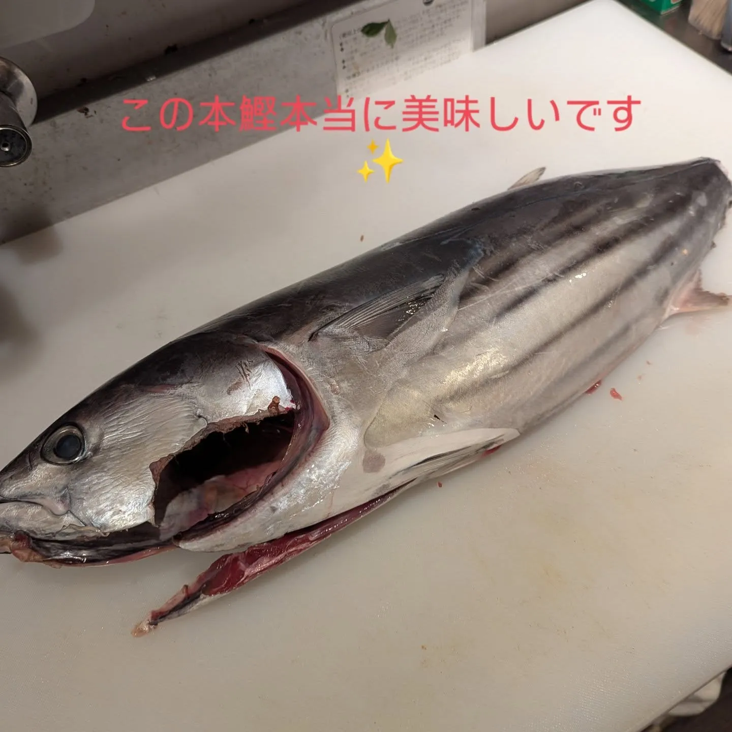 家族とでも、お一人でも、お友達とでもご利用しやすいお店の藍の...