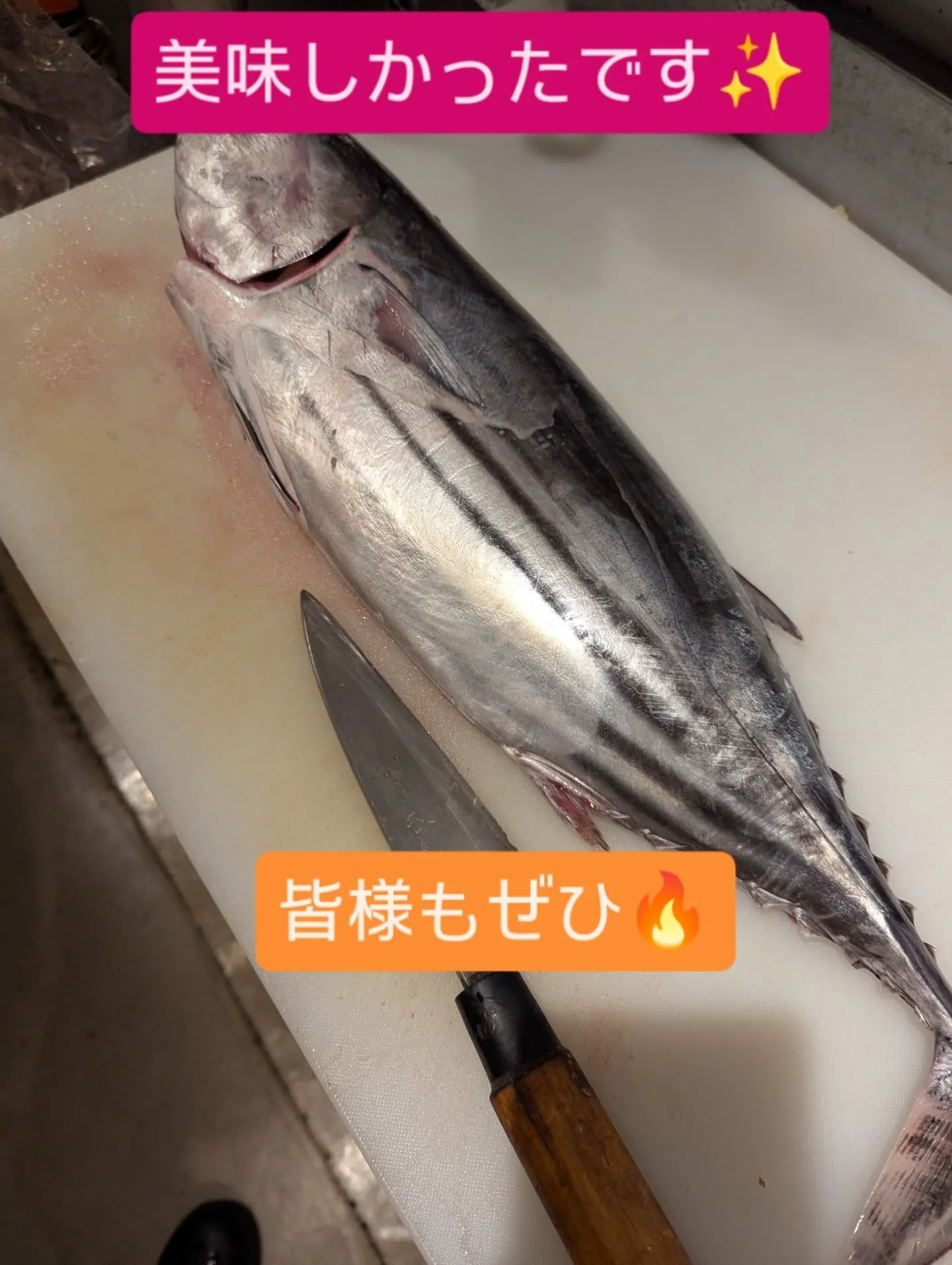 新鮮な寿司、海鮮丼、和食を堪能できる飲食店　和食堂藍の天彩で...