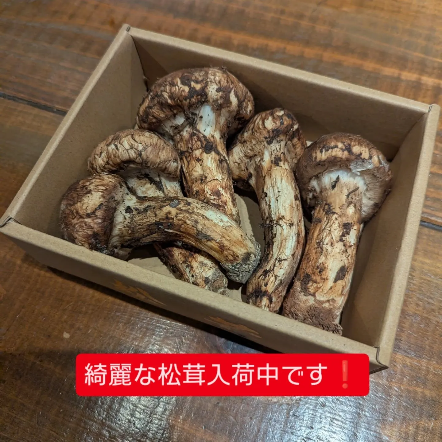秋刀魚やひやおろし等、秋の香りが漂ってきています❗️