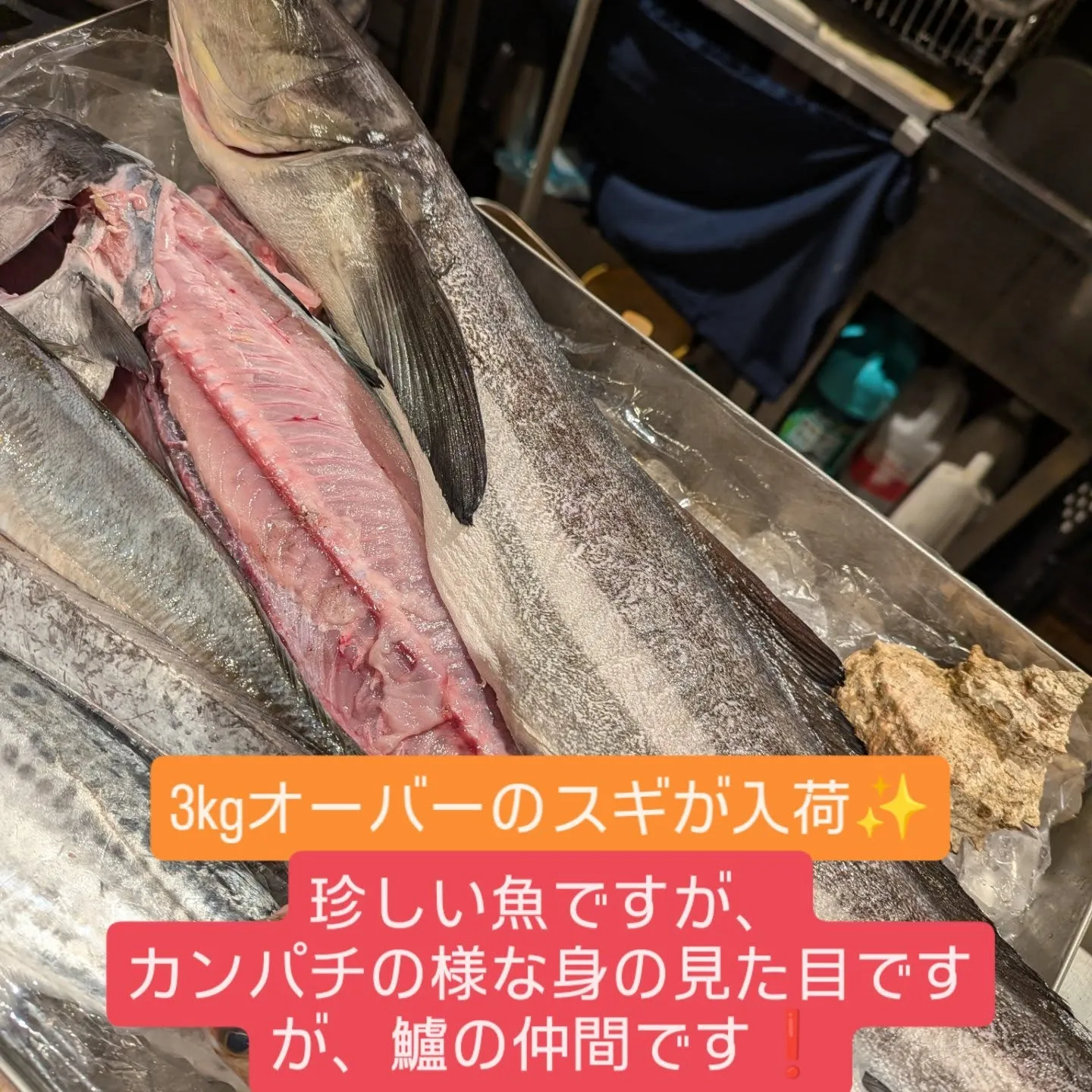 和食堂藍の天彩です。