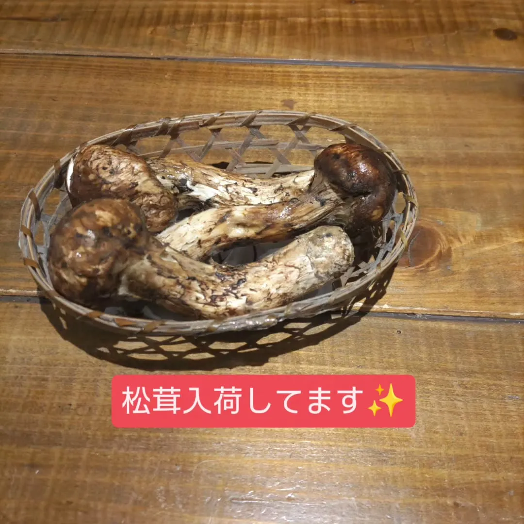 お刺身が無料でおかわりできます、和食堂藍の天彩です