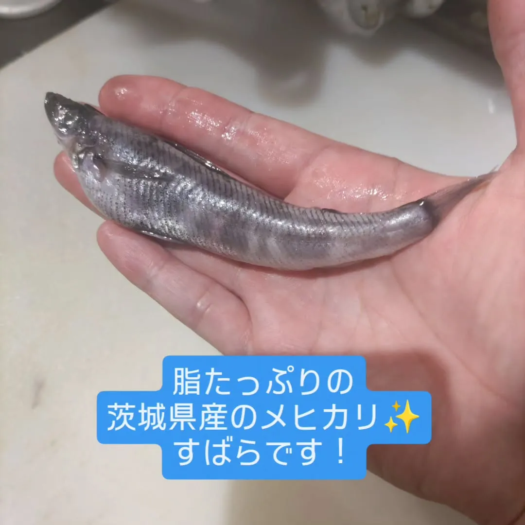 お刺身が無料でおかわりできます、和食堂藍の天彩です